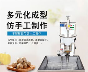 惠輝機(jī)械肉丸成型機(jī)價格解析與家用視聽設(shè)備選購指南