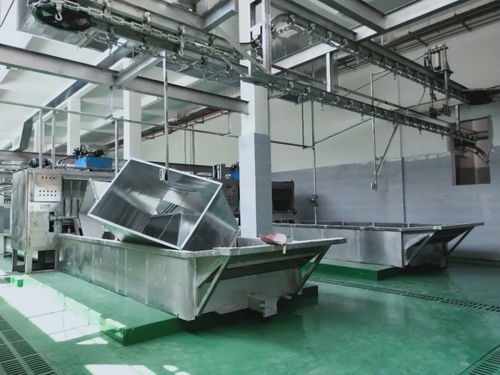 這個a級畜禽屠宰加工廠即將投產(chǎn) 產(chǎn)品將銷往全國各地