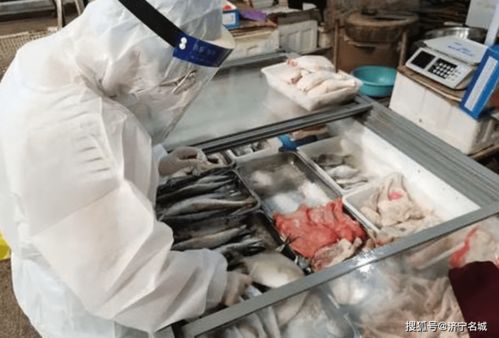 曝光 任城區(qū)公布違反疫情防控進口冷鏈食品與挖掘裝載機事件